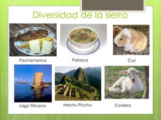 Diversidad de la sierra
Pachamanca Patasca
Machu Picchu
Cuy
CorderoLago Titicaca
 