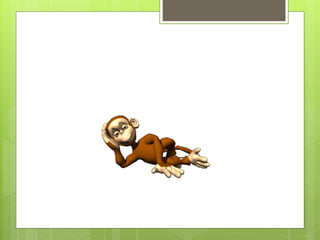 La diversidad de animales jenny