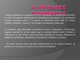 -Tienen importancia la ganadería bovina ( destinada a la producción de leche),
el cultivo de plantas forrajes para la alimentación del ganado y la explotación
forestal (eucalipto, pino…). La pesca se desarrolla sobre todo en Castro-
Urdiales, Santoña y Laredo, y está ligado a la industria conservera.

-La industria, algo destacada, se localiza en torno a Santander y Torrelavega,
lugares centrales de un eje costero que se extiende desde Castro- Urdiales a
Cabezón de la Sal .Existe cierta actividad industrial en reinosa. Destacan las
industrias metalúrgica, alimentaria, de productos metálicos y química.

-- El sector terciario tiene una gran implantación en los núcleos urbanos. El
turismo se concentra e la costa y en el interior montañoso
 