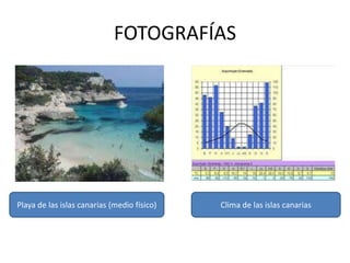 FOTOGRAFÍAS




Playa de las islas canarias (medio físico)   Clima de las islas canarias
 