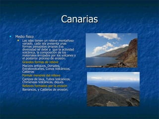 Canarias
   Medio físico
        Las islas tienen un relieve montañoso
         variado, cada isla presenta unas
         formas paisajistas propias Esa
         diversidad se debe a que la actividad
         volcánica, la composición de los
         materiales arrojados por los volcanes y
         el posterior proceso de erosión.
         Grandes formas de relieve
         Macizos antiguos, Dorsales,
         Extratovolcanes, Conos Volcánicos,
         Calderas
         Formas menores del relieve
         Campos de lava, Tubos Volcánicos,
         Chimeneas Volcánicas, diques.
         Relieves formados por la erosión
         Barrancos, y Calderas de erosión.
 