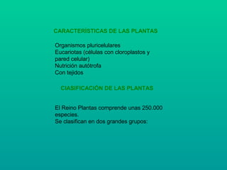 CARACTERÍSTICAS DE LAS PLANTAS
Organismos pluricelulares
Eucariotas (células con cloroplastos y
pared celular)
Nutrición autótrofa
Con tejidos
ClASIFICACIÓN DE LAS PLANTAS
El Reino Plantas comprende unas 250.000
especies.
Se clasifican en dos grandes grupos:
 