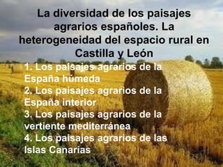 La diversidad de los paisajes
agrarios españoles. La
heterogeneidad del espacio rural en
Castilla y León
1. Los paisajes agrarios de la
España húmeda
2. Los paisajes agrarios de la
España interior
3. Los paisajes agrarios de la
vertiente mediterránea
4. Los paisajes agrarios de las
Islas Canarias
 