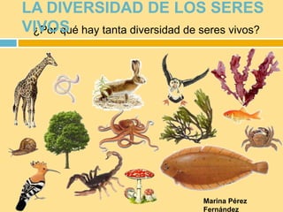¿Por qué hay tanta diversidad de seres vivos?
LA DIVERSIDAD DE LOS SERES
VIVOS
Marina Pérez
Fernández
 