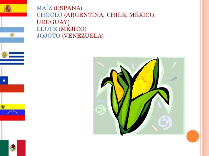Como Se Dice Chayote En España