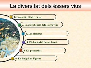 La diversitat dels éssers vius
1. Evolució i biodiversitat
2. La classificació dels éssers vius
3. Les moneres
4. Els bacteris i l’ésser humà
5. Els protoctists
6. Els fongs i els líquens

 