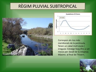RÈGIM PLUVIAL SUBTROPICAL
Correspon als rius més
meridionals de la península.
Tenen un cabal molt escàs i
irregular. Estiatge llarg (fins a set
mesos per davall de la mitjana).
Màxims al final de l’hivern.Guadalhorce
 