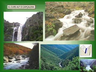 EL CURS ALT O CAPÇALERA
 