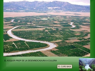 EL XÚQUER PROP DE LA DESEMBOCADURA A CULLERA
EL CURS BAIX
 