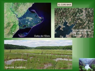 EL CURS BAIX
Desembocadura
del Ulla en la ria
d’ArosaDelta de l’Ebre
Santoña, Cantabria
 