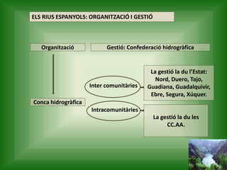 ELS RIUS ESPANYOLS: ORGANITZACIÓ I GESTIÓ
Organització Gestió: Confederació hidrogràfica
Conca hidrogràfica
Inter comunitàries
Intracomunitàries
La gestió la du l’Estat:
Nord, Duero, Tajo,
Guadiana, Guadalquivir,
Ebre, Segura, Xúquer.
La gestió la du les
CC.AA.
 