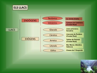 ELS LLACS
LLACS
ENDÒGENS
EXÒGENS
Tectònics
Volcànics
Glacials
Càrstics
Litorals
Eòlics
Arreics
La Janda (Cádiz)
Campos de Calatrava
(Ciudad Real)
Llacs pirenaics;
Sanabria
Llacunes de Ruidera
(Ciudad Real)
Tablas de Daimiel
(Ciudad Real)
Mar Menor, Albufera
València
Closes de l’ Empordà
 