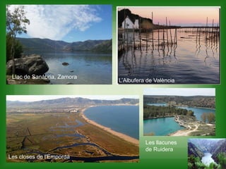 Llac de Sanàbria, Zamora
Les closes de l'Empordà
L’Albufera de València
Les llacunes
de Ruidera
 