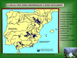 EL RELLEU CREA ZONES ENDORREIQUES O SENSE ESCOLAMENT
En Espanya no creen grans llacs, però sí interessants ecosistemes
L'endorreisme o
conca endorreica és
la xarxa hidrogràfica
que no troba una
sortida cap a rius i
oceans. Les aigües
superficials
desguassen als
sectors més
deprimits i
constitueixen llacs i
aiguamolls
d'extensió variable
 