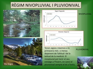 RÈGIM NIVOPLUVIAL I PLUVIONIVAL
Tenen aigües màximes a la
primavera més o menys
depenent de l’altitud i de la
latitud de la medició. El
nivopluvial pot tenir el seu
estiatge a l’hivern, en canvi el
pluvionival sempre el té a l’estiu.
Riu Eresma
Riu Segre
NIVOPLUVIAL
PLUVIONIVAL
 