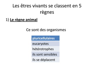 Les êtres vivants se classent en 5
                 règnes
1) Le règne animal

           Ce sont des organismes
               pluricellulaires
               eucaryotes
               hétérotrophes
               ils sont sensibles
               ils se déplacent
 