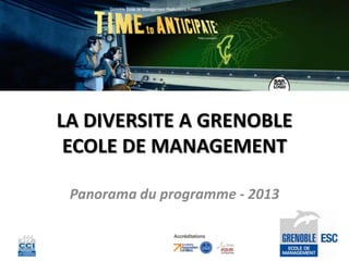 LA DIVERSITE A GRENOBLE
 ECOLE DE MANAGEMENT

 Panorama du programme - 2013
 