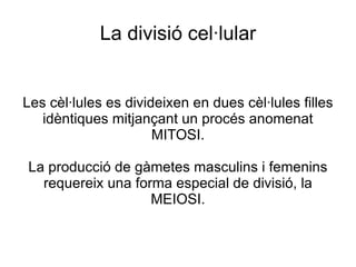 La divisió cel·lular Les cèl·lules es divideixen en dues cèl·lules filles idèntiques mitjançant un procés anomenat MITOSI. La producció de gàmetes masculins i femenins requereix una forma especial de divisió, la MEIOSI. 