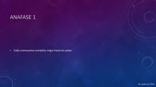 ANAFASE 1
• Cada cromosoma completo migra hacia los polos
By Anthony Ortiz
 