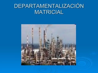 DEPARTAMENTALIZACIÓN MATRICIAL 