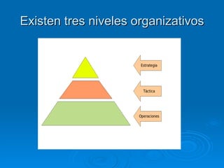 Existen tres niveles organizativos 
