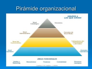 Pirámide organizacional 