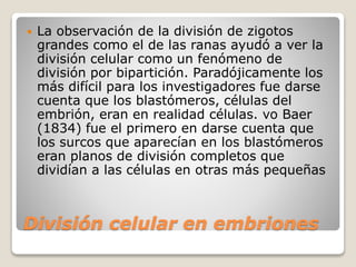 División celular en embriones
 La observación de la división de zigotos
grandes como el de las ranas ayudó a ver la
división celular como un fenómeno de
división por bipartición. Paradójicamente los
más difícil para los investigadores fue darse
cuenta que los blastómeros, células del
embrión, eran en realidad células. vo Baer
(1834) fue el primero en darse cuenta que
los surcos que aparecían en los blastómeros
eran planos de división completos que
dividían a las células en otras más pequeñas
 