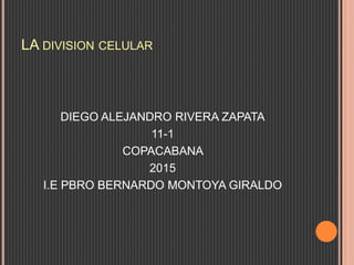 LA DIVISION CELULAR
DIEGO ALEJANDRO RIVERA ZAPATA
11-1
COPACABANA
2015
I.E PBRO BERNARDO MONTOYA GIRALDO
 