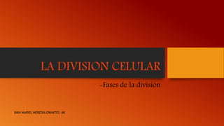 LA DIVISION CELULAR
-Fases de la división
IVAN MARIEL HEREDIA ORANTES 6K
 