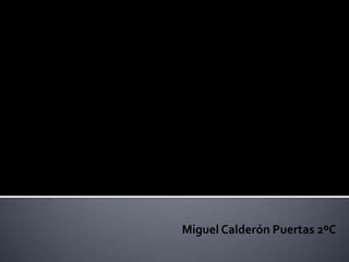 Miguel Calderón Puertas 2ºC

 
