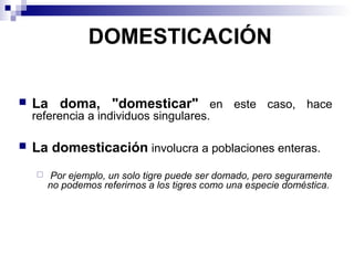 Comparativa: Domesticación Artificial vs. Autodomesticación