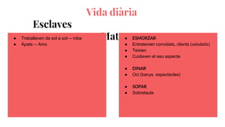 Vida diària
Esclaves
Matrones● Treballaven de sol a sol→ roba
● Àpats→ Amo
● ESMORZAR
● Entretenien convidats, clients (saludatio)
● Teixien
● Cuidaven el seu aspecte
● DINAR
● Oci (banys, espectacles)
● SOPAR
● Sobretaula
 