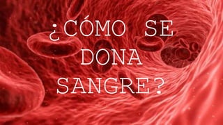 ¿CÓMO SE
DONA
SANGRE?
 