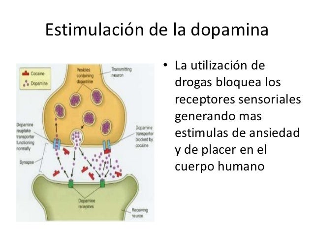 La dopamina