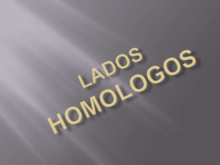 Lados homologos