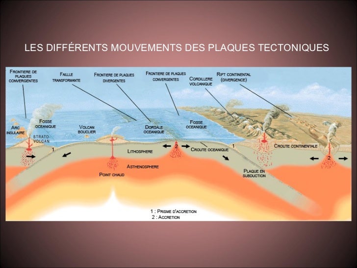 La dérive des continents et les plaques tectoniques