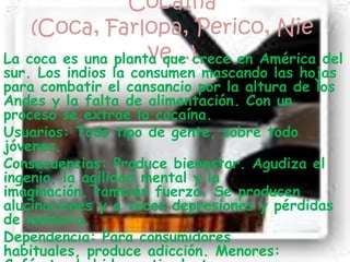 Cocaína (Coca, Farlopa, Perico, Nieve...)La coca es una planta que crece en América del sur. Los indios la consumen mascando las hojas para combatir el cansancio por la altura de los Andes y la falta de alimentación. Con un proceso se extrae la cocaína.Usuarios: Todo tipo de gente, sobre todo jóvenes.Consecuencias: Produce bienestar. Agudiza el ingenio, la agilidad mental y la imaginación, también fuerza. Se producen alucinaciones y a veces depresiones y pérdidas de memoria.Dependencia: Para consumidores habituales, produce adicción. Menores: Café, te, bebidas estimulantes...