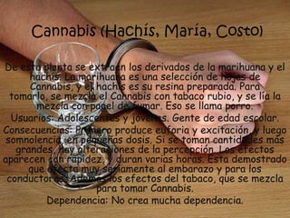 Cannabis (Hachís, María, Costo)De esta planta se extraen los derivados de la marihuana y el hachís. La marihuana es una selección de hojas de Cannabis, y el hachís es su resina preparada. Para tomarlo, se mezcla el Cannabis con tabaco rubio, y se lía la mezcla con papel de fumar. Eso se llama porro.Usuarios: Adolescentes y jóvenes. Gente de edad escolar.Consecuencias: Primero produce euforia y excitación, y luego somnolencia, en pequeñas dosis. Si se toman cantidades más grandes, hay alteraciones de la percepción. Los efectos aparecen con rapidez, y duran varias horas. Esta demostrado que afecta muy seriamente al embarazo y para los conductores. Además los efectos del tabaco, que se mezcla para tomar Cannabis.Dependencia: No crea mucha dependencia.