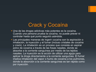 Crack y Cocaína
 Una de las drogas adictivas más potentes es la cocaína.
Cuando una persona prueba la cocaína, no puede prever ni
controlar hasta qué punto seguirá usándola.
 Las principales maneras de ingerir cocaína son la aspiración o
inhalación, la inyección y el fumar (incluso cristales de cocaína
y crack). La inhalación es un proceso que consiste en aspirar
polvo de cocaína a través de las fosas nasales, donde se
absorbe a la corriente sanguínea por medio de los tejidos
nasales. La inyección es la acción de utilizar una aguja para
aplicar la droga directamente a la corriente sanguínea. El fumar
implica inhalación del vapor o humo de cocaína a los pulmones,
donde la absorción a la corriente sanguínea es tan rápida como
por inyección.
 