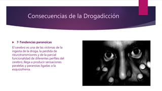 Consecuencias de la Drogadicción
 7-Tendencias paranoicas
El cerebro es una de las víctimas de la
ingesta de la droga, la perdida de
neurotransmisores y de la parcial
funcionalidad de diferentes perfiles del
cerebro, llega a producir sensaciones
paralelas y paranoias ligadas a la
esquizofrenia.
 
