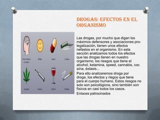 DROGAS: EFECTOS EN EL
ORGANISMO

Las drogas, por mucho que digan los
máximos defensores y asociaciones pro-
legalización, tienen unos efectos
nefastos en el organismo. En esta
sección analizamos todos los efectos
que las drogas tienen en nuestro
organismo, los riesgos que tiene el
alcohol, ketamina, speed, cannabis, coc
aína, éxtasis...
Para ello analizaremos droga por
droga, los efectos y riegos que tiene
para el cuerpo humano. Estos riesgos no
solo son psicológicos, sino también son
físicos en casi todos los casos.
Enlaces patrocinados
 