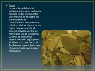  Coca
La coca, hoja del arbusto
indígena americano, pertenece
al grupo de los estimulantes.
Su consumo es ancestral en
ciertas partes de
Latinoamérica, donde es una
práctica habitual el mascar las
hojas. Su efecto sobre el
sistema nervioso central es
menor que los de la cocaína.
La coca es consumida
mascándola con algún polvo
alcalino como cenizas o cal.
También es fumada tanto sola
como mezclada con tabaco y
marihuana.
 