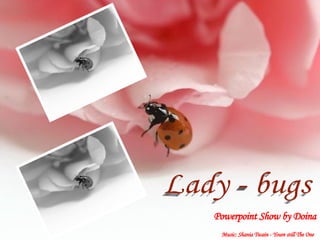 Lady - bugs Lady - bugs Powerpoint Show by Doina Music: Shania Twain - Youre still The One   