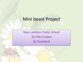 Mini beast Project

New Lambton Public School
     3C/ Mrs Coates
      By Youkabod
 