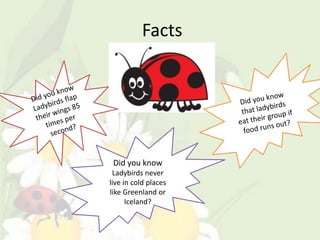 Facts




 Did you know
 Ladybirds never
live in cold places
like Greenland or
      Iceland?
 