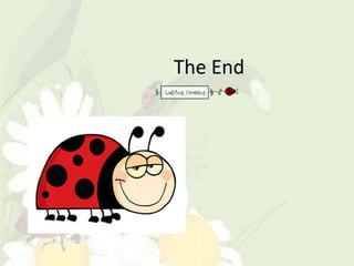 The End
 
