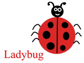 Ladybug
 