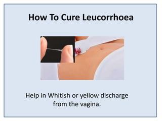 How To Cure Leucorrhoea
Help in Whitish or yellow discharge
from the vagina.
 