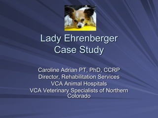 Lady Ehrenberger
Case Study
Caroline Adrian PT, PhD, CCRP
Director, Rehabilitation Services
VCA Animal Hospitals
VCA Veterinary Specialists of Northern
Colorado
 