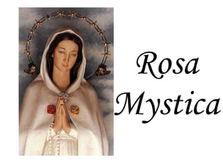 Rosa Mystica 